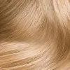 8.3 Light Golden Blonde
